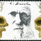 Illustration for article titled Teaching Creationism As Science Now Banned In All UK Public Schools
